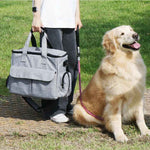 Organisateur Soins Animaux