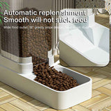 Distributeur Croquettes Automatique